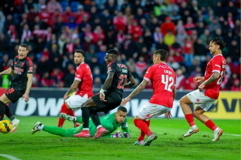 Lịch trực tiếp bóng đá ngày 12/9 - Benfica vs Santa Clara