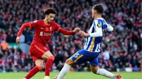 Nhận định bóng đá Brighton vs Liverpool, 19h30 ngày 21/03: Chủ nhà gây khó