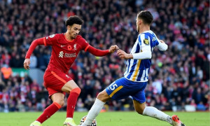 Nhận định bóng đá Liverpool vs Brighton, 03h00 ngày 15/02: Anfield rực lửa đón vé đi tiếp