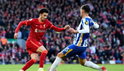 Nhận định bóng đá Liverpool vs Brighton, 03h00 ngày 15/02: Anfield rực lửa đón vé đi tiếp