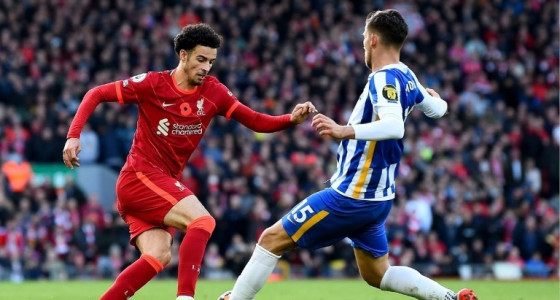 Nhận định bóng đá Liverpool vs Brighton, 03h00 ngày 15/02: Anfield rực lửa đón vé đi tiếp