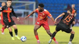 Nhận định bóng đá Ninh Bình vs HAGL, 18h00 ngày 07/02: Pháo đài cố đô lên tiếng