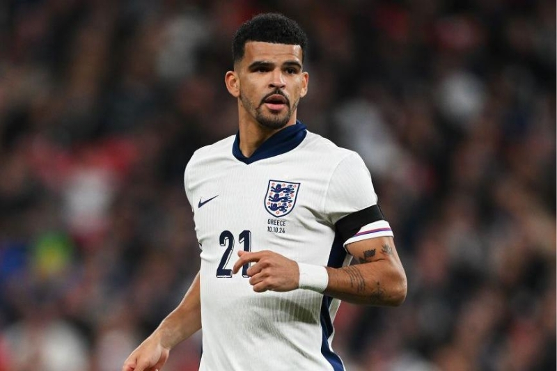 Dominic Solanke vẫn được đ&aacute;nh gi&aacute; cao (Nguồn: Sưu tầm)